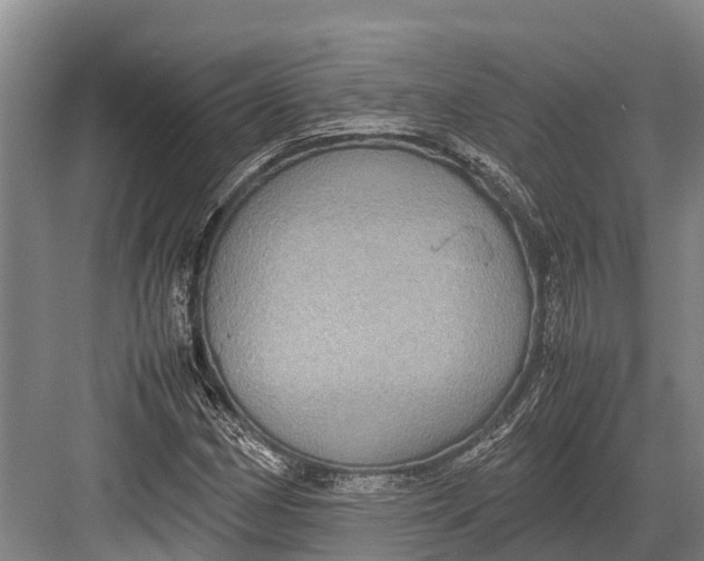 X0000082721162200702161834