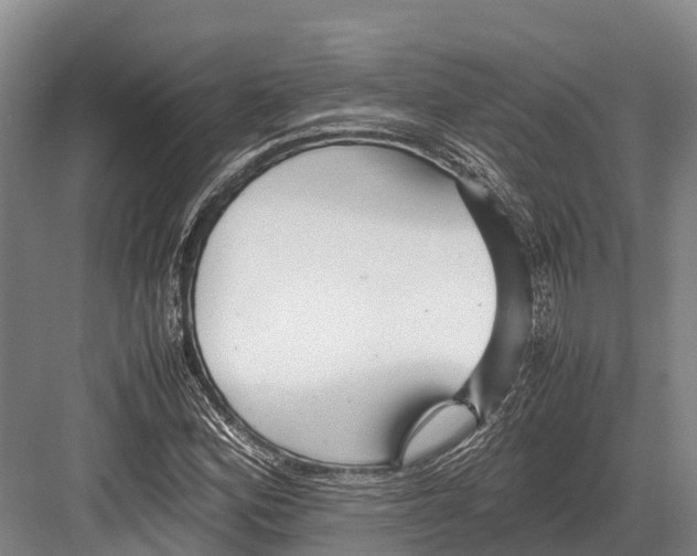 X0000082721164200702161834