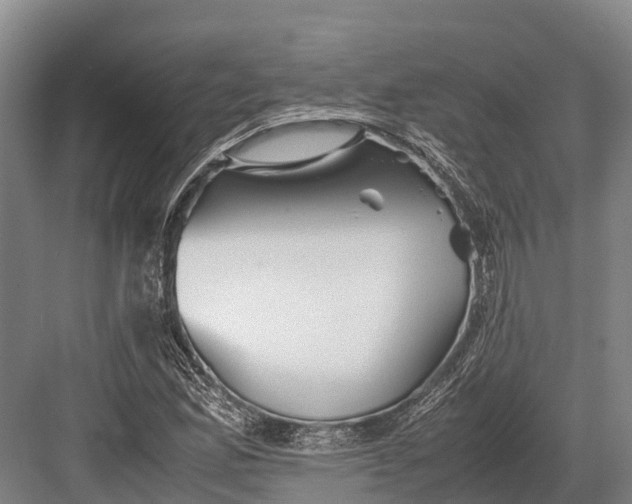 X0000082721165200702161834