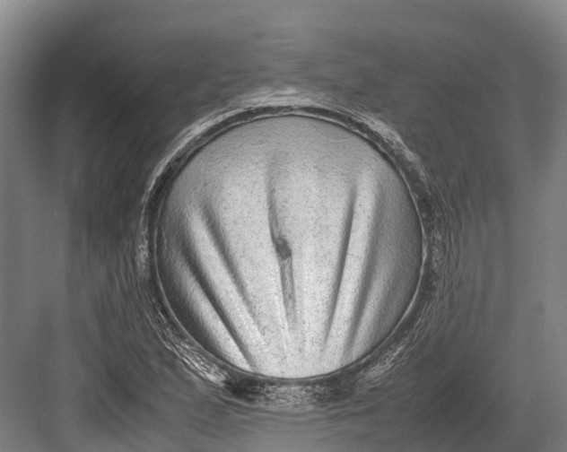 X0000082721167200702161834