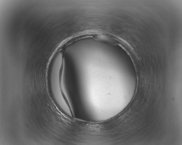 X0000082721168200702161834