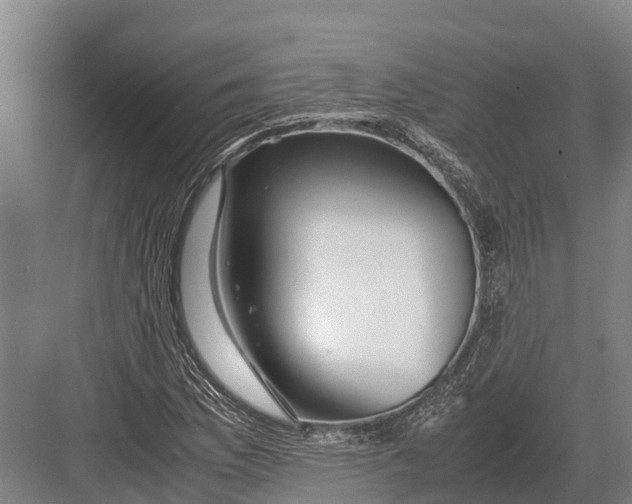 X0000082721169200702161834