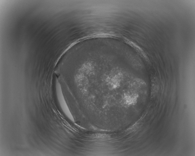 X0000082721170200702161834