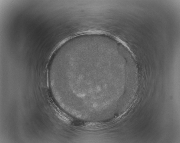 X0000082721171200702161834