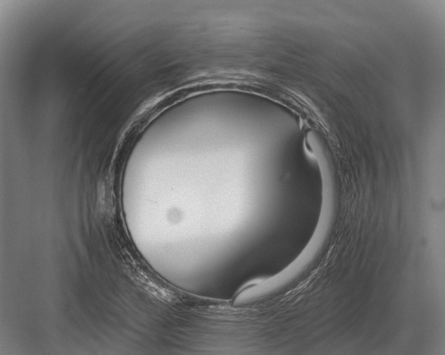 X0000082721172200702161834