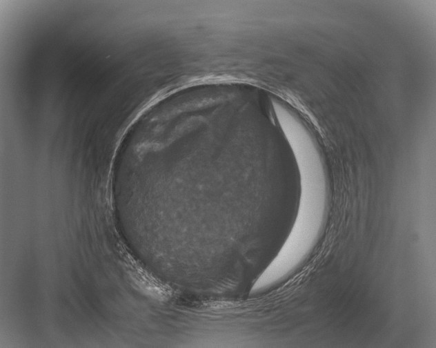 X0000082721173200702161834