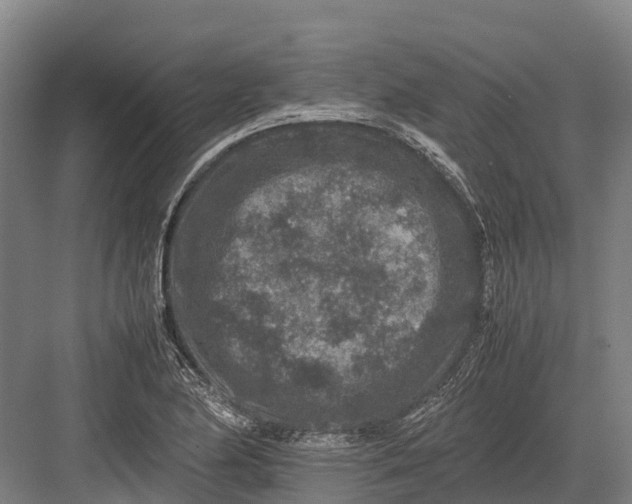 X0000082721174200702161834