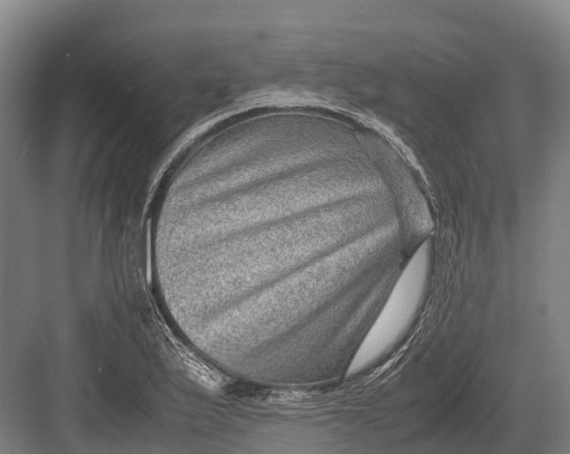 X0000082721175200702161834