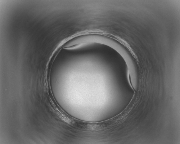 X0000082721176200702161833