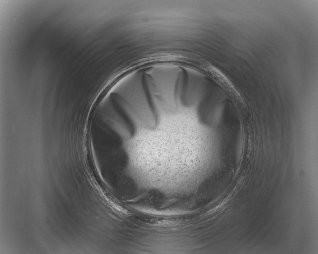 X0000082721178200702161833