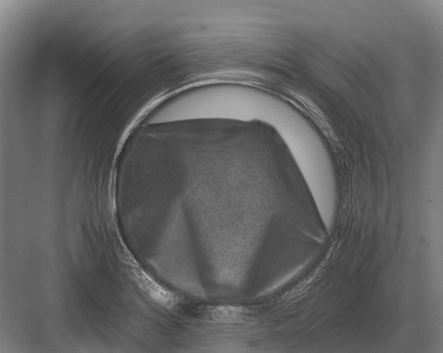 X0000082721180200702161833