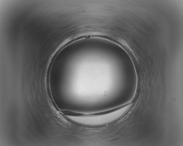 X0000082721181200702161833