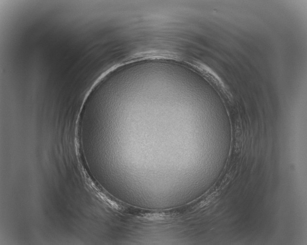 X0000082721182200702161833