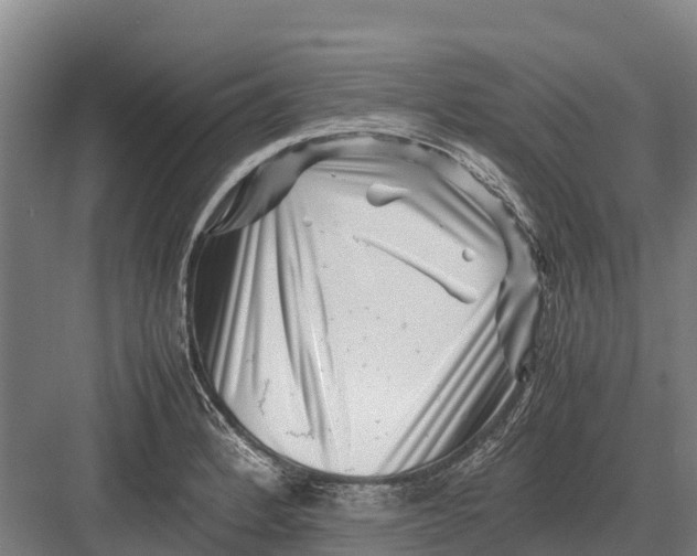 X0000082721184200702161833