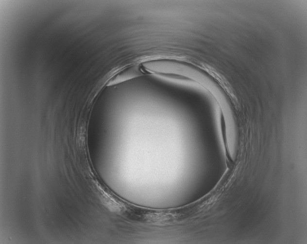 X0000082721185200702161833