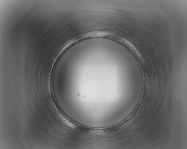 X0000082721186200702161833