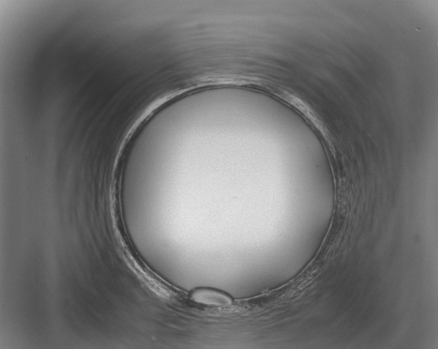 X0000082721187200702161833