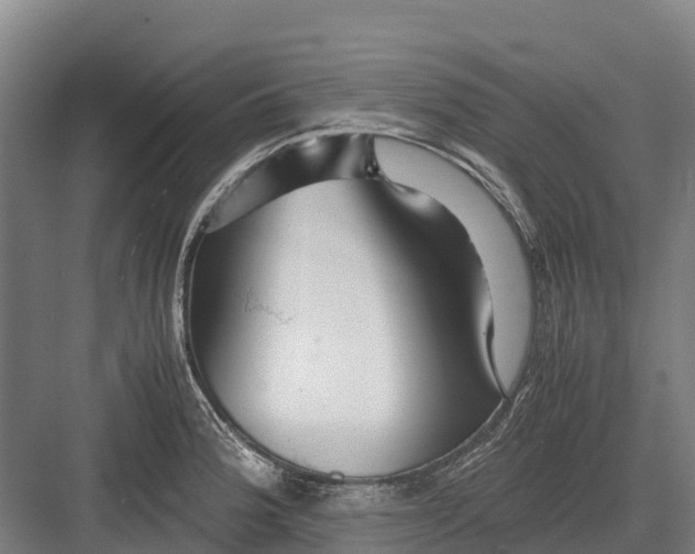 X0000082721188200702161833