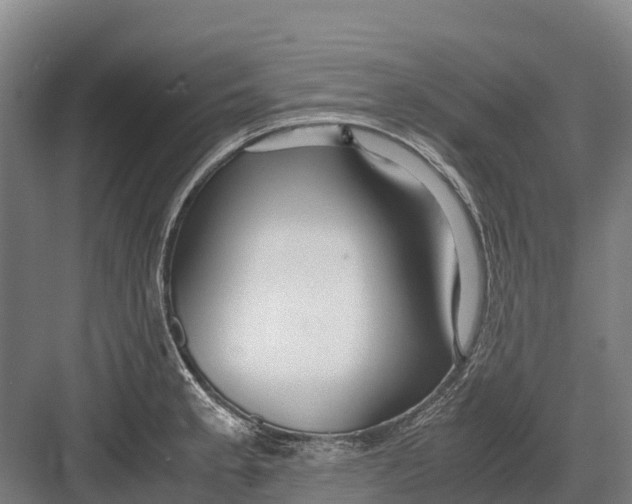 X0000082721189200702161833