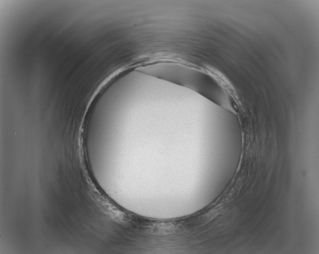 X0000082721190200702161833