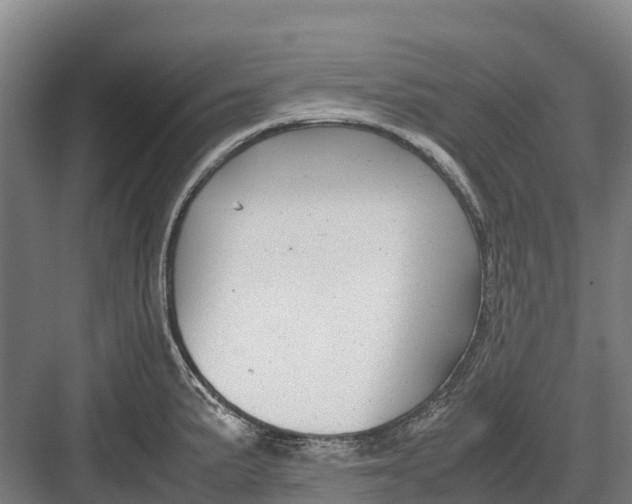 X0000082721191200702161833