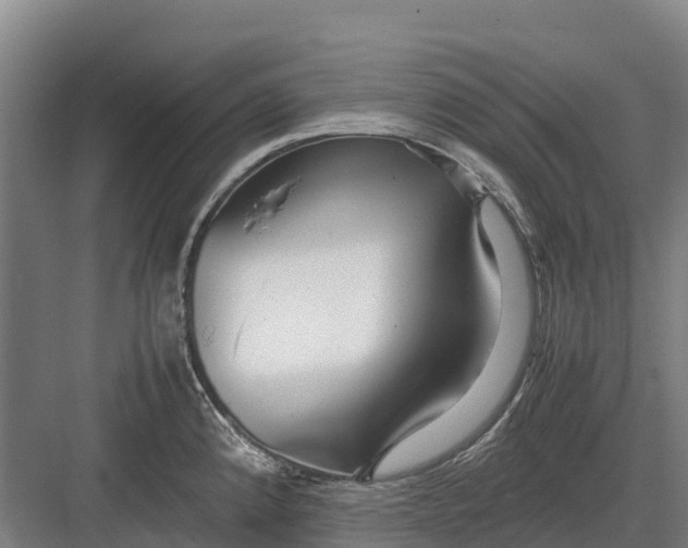 X0000082721192200702161833