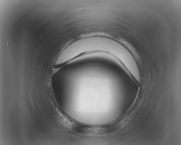 X0000082721193200702161833