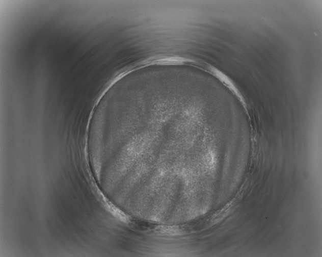 X0000082721194200702161833