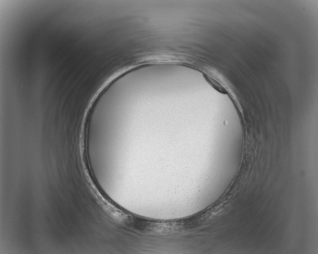 X0000082721195200702161833