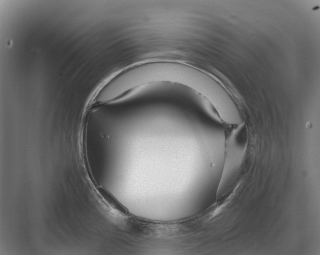 X0000082721196200702161833