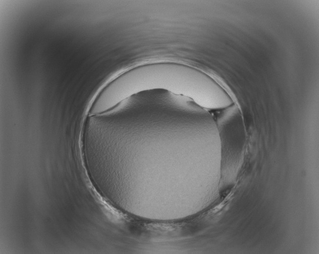 X0000082721197200702161833