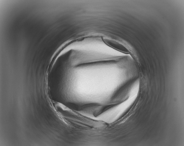 X0000082721198200702161833