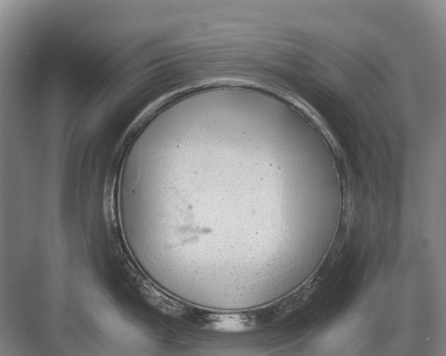 X0000082721199200702161833