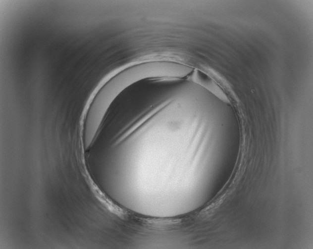 X0000082721200200702161833