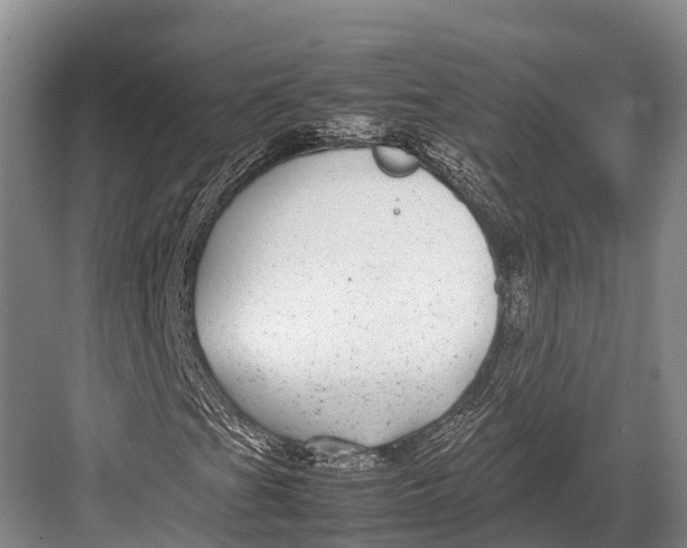 X0000082721201200702161832