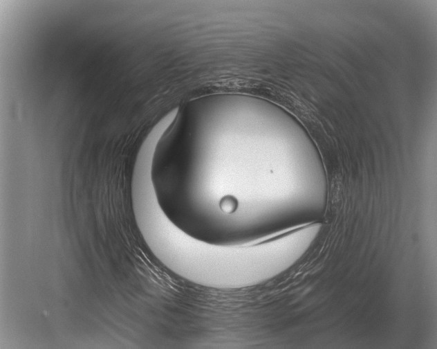 X0000082721202200702161832