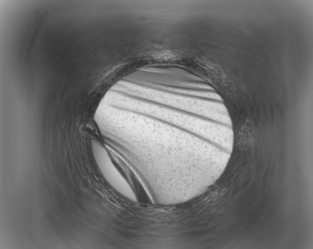 X0000082721205200702161832