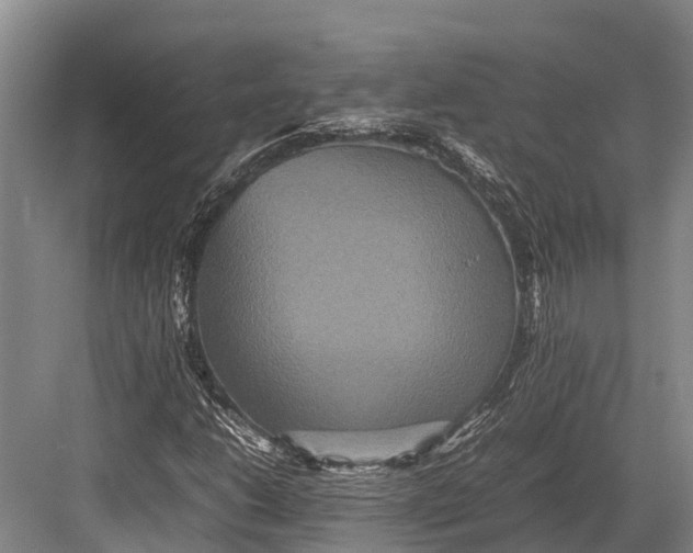 X0000082721206200702161832