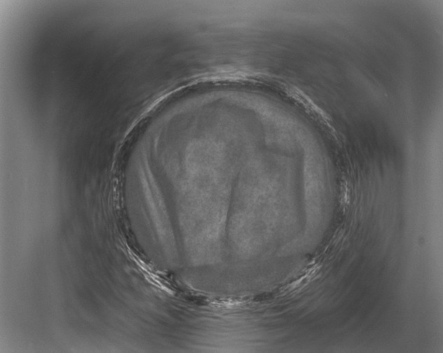 X0000082721208200702161832