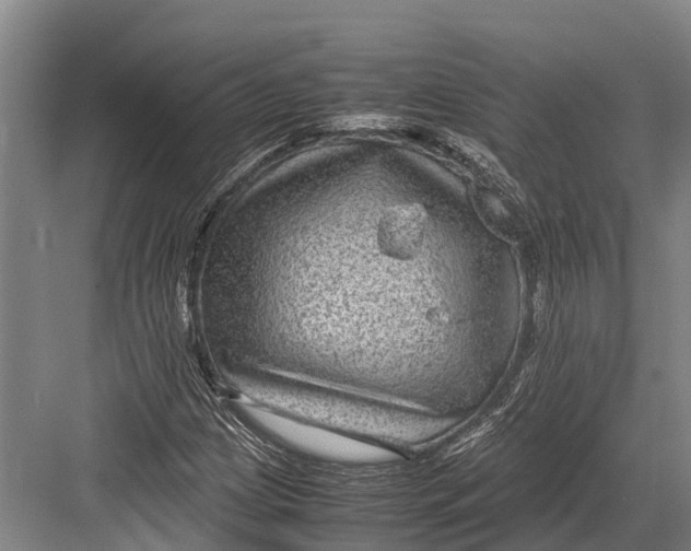 X0000082721209200702161832