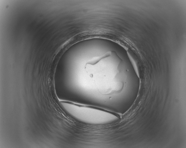 X0000082721210200702161832