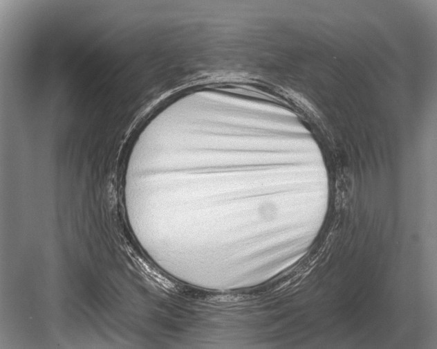 X0000082721212200702161832