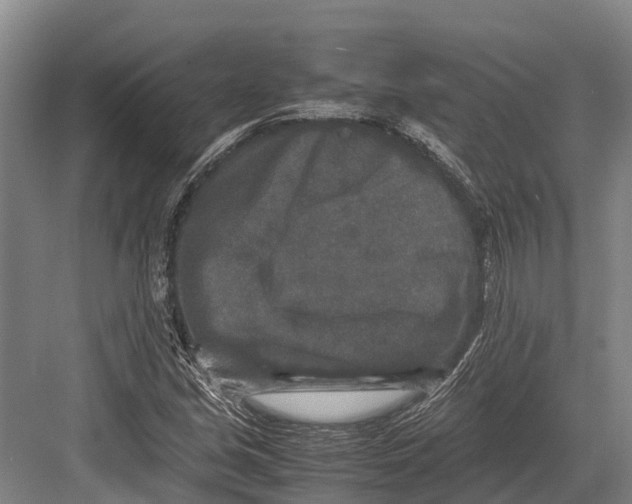 X0000082721213200702161832