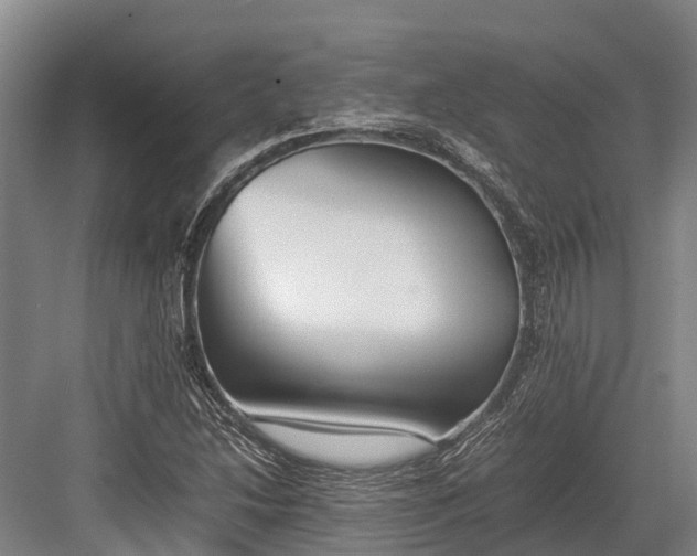 X0000082721214200702161833