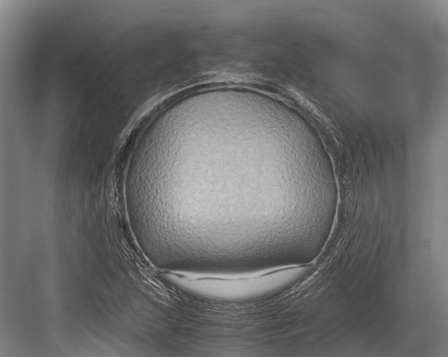 X0000082721215200702161833