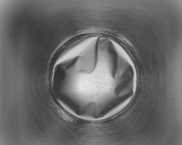 X0000082721216200702161833