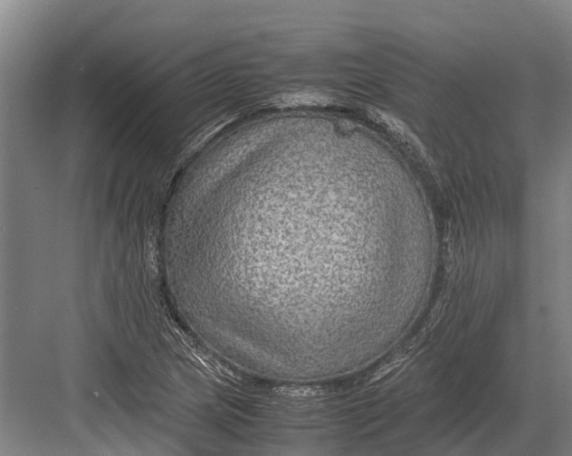 X0000082721217200702161833