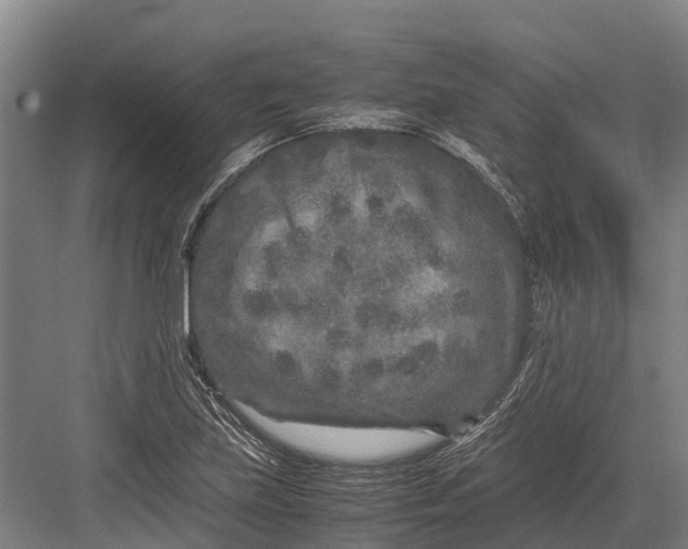 X0000082721219200702161833