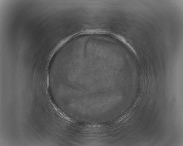 X0000082721221200702161833