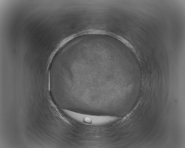 X0000082721223200702161833